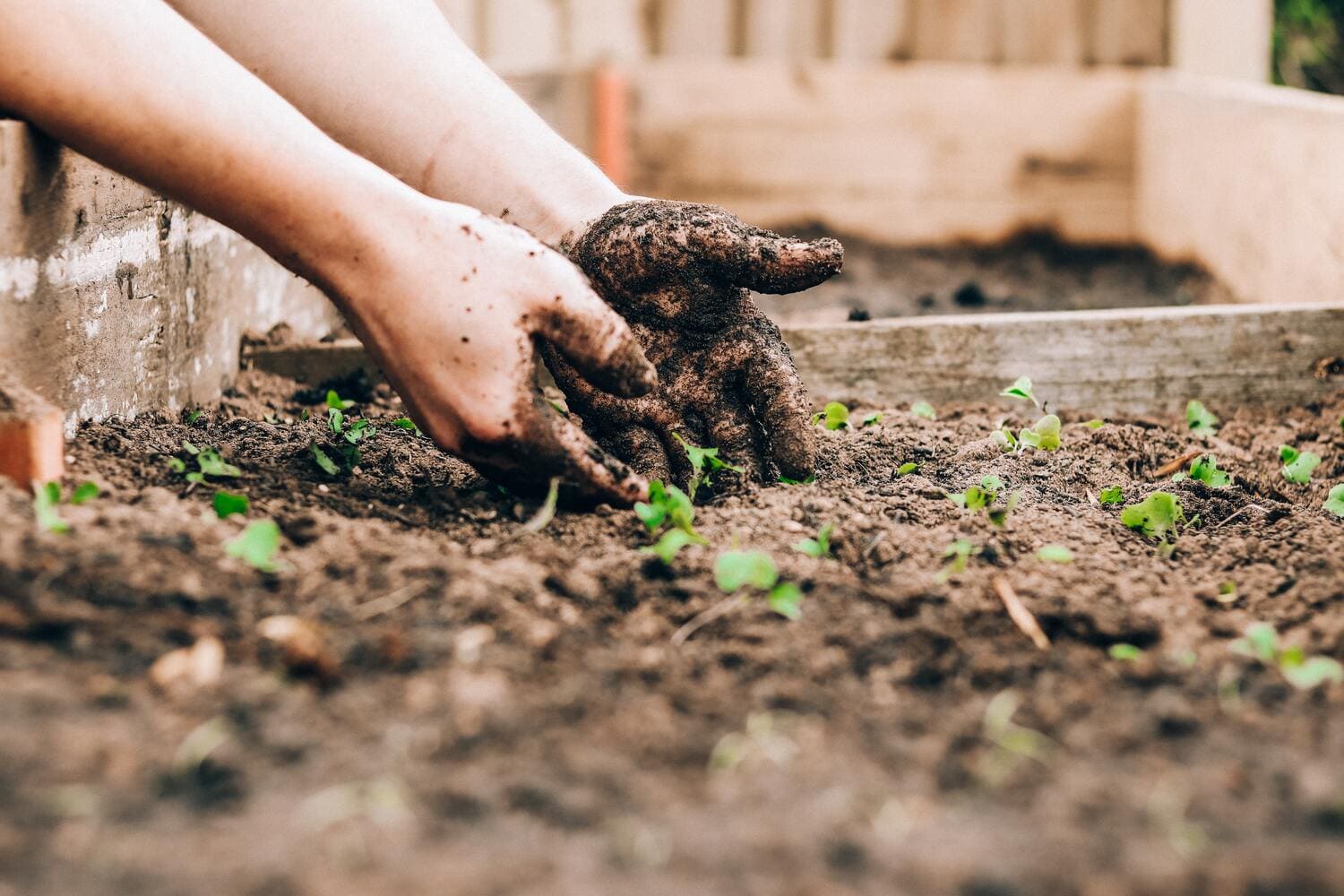 Jardinería y paisajismo para transformar espacios - Creatividad, naturaleza y bienestar en armonía